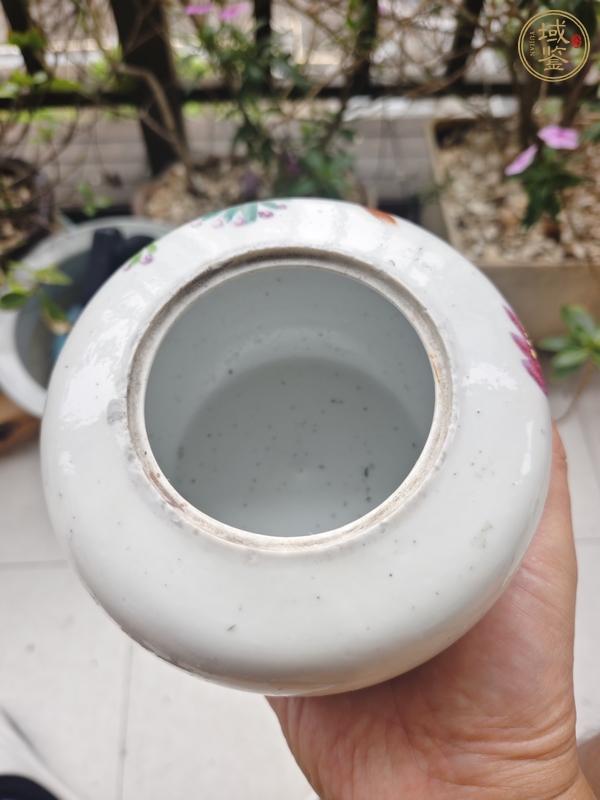 古玩陶瓷粉彩花鳥蓋罐真品鑒賞圖
