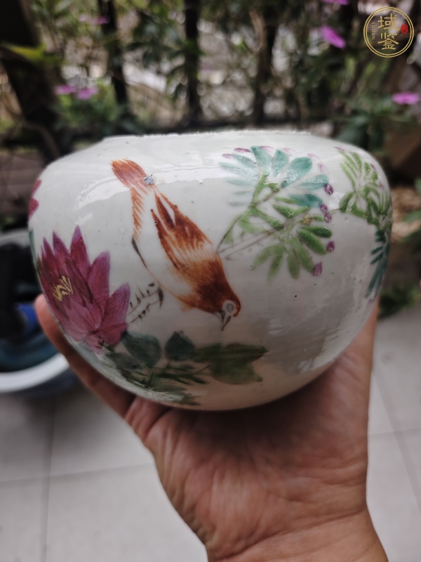 古玩陶瓷粉彩花鳥蓋罐真品鑒賞圖