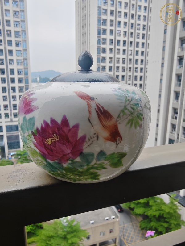 古玩陶瓷粉彩花鳥蓋罐真品鑒賞圖