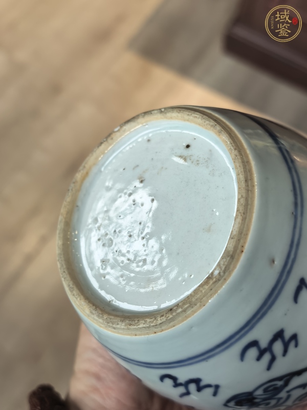 古玩陶瓷青花鳳紋罐真品鑒賞圖