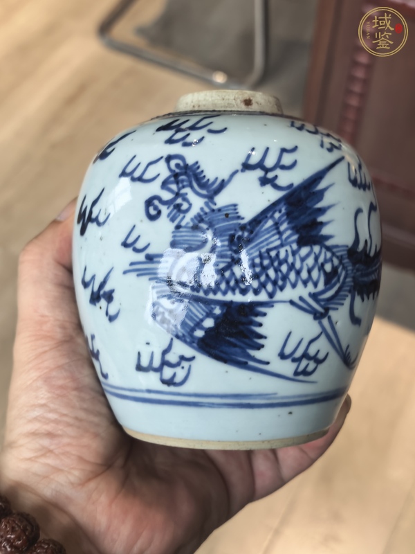 古玩陶瓷青花鳳紋罐真品鑒賞圖