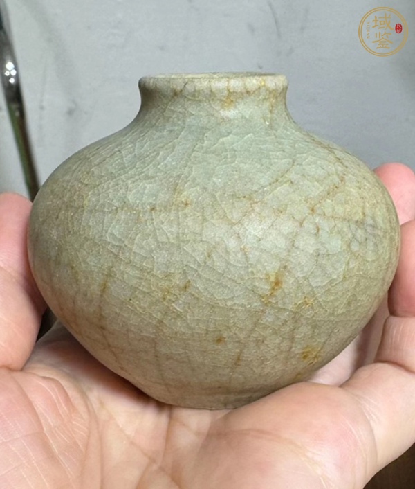 古玩陶瓷龍泉青瓷水盂真品鑒賞圖