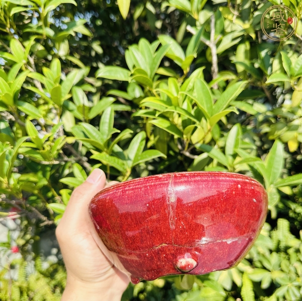 古玩陶瓷鈞紅釉香爐真品鑒賞圖