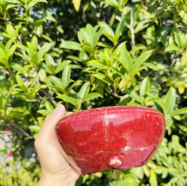 古玩陶瓷清 乾隆紅釉缽式爐標本拍賣，當前價格999元