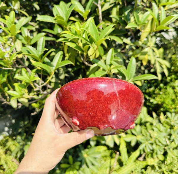 古玩陶瓷清 乾隆紅釉缽式爐標本拍賣，當前價格999元