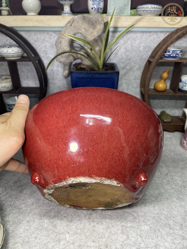 古玩陶瓷鈞紅釉香爐真品鑒賞圖