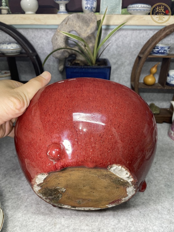 古玩陶瓷鈞紅釉香爐真品鑒賞圖