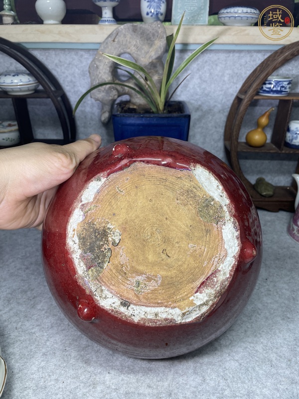古玩陶瓷鈞紅釉香爐真品鑒賞圖