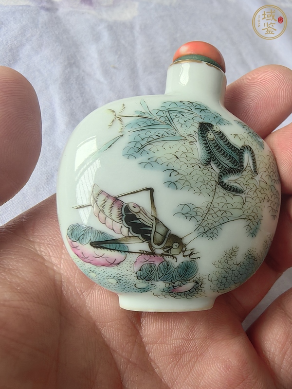 古玩陶瓷道光粉彩草蟲紋煙壺真品鑒賞圖
