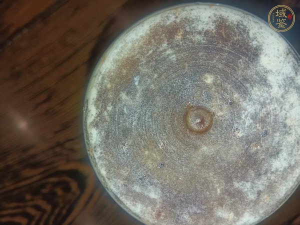 古玩陶瓷青花五彩獅子花卉紋罐真品鑒賞圖