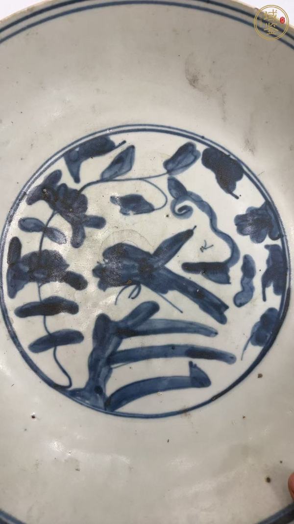 古玩陶瓷漳州平和窯青花盤真品鑒賞圖