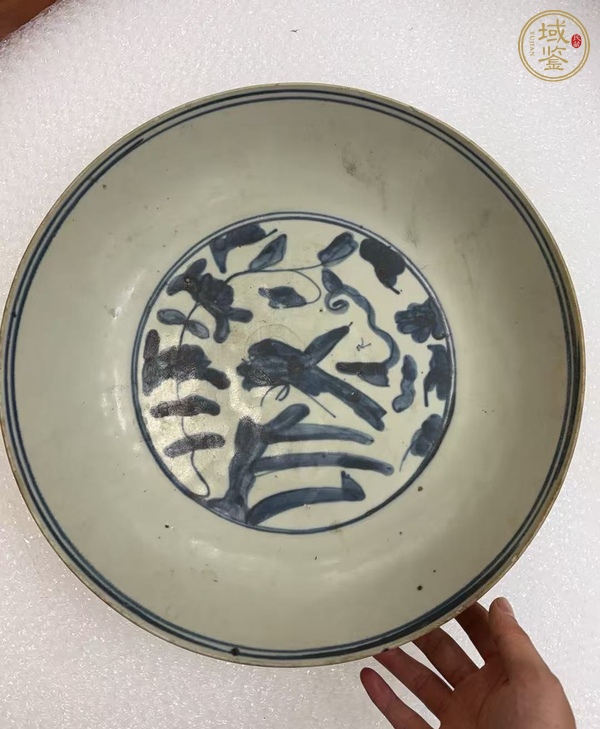古玩陶瓷漳州平和窯青花盤真品鑒賞圖