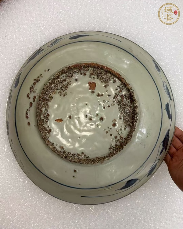 古玩陶瓷漳州平和窯青花盤真品鑒賞圖