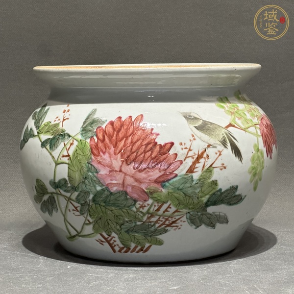 古玩陶瓷淺絳花鳥紋缸真品鑒賞圖