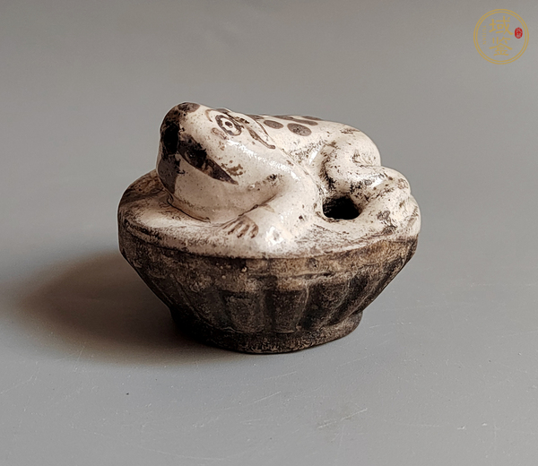 古玩陶瓷蛙型水滴真品鑒賞圖