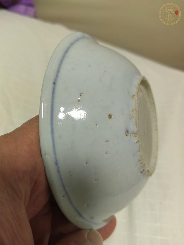 古玩陶瓷蓮池游禽滿池嬌青花盤真品鑒賞圖