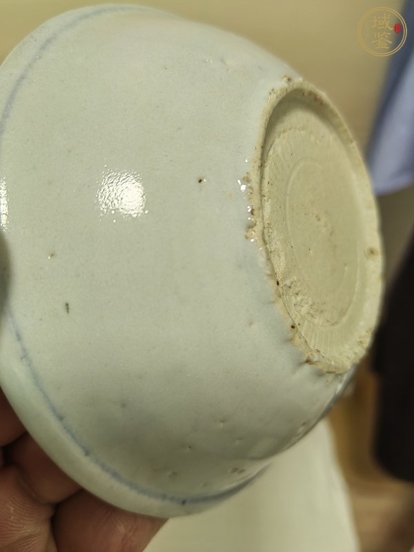 古玩陶瓷蓮池游禽滿池嬌青花盤真品鑒賞圖
