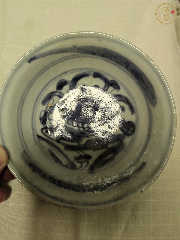 古玩陶瓷蓮池游禽滿池嬌青花盤真品鑒賞圖