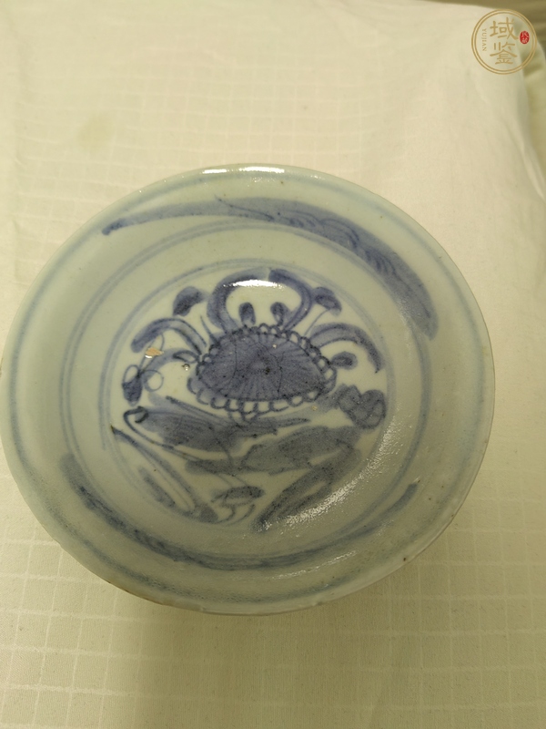 古玩陶瓷蓮池游禽滿池嬌青花盤真品鑒賞圖