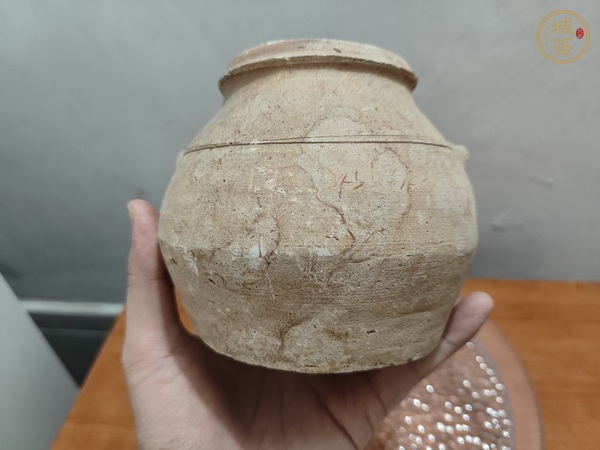 古玩陶瓷灰陶雙系罐真品鑒賞圖