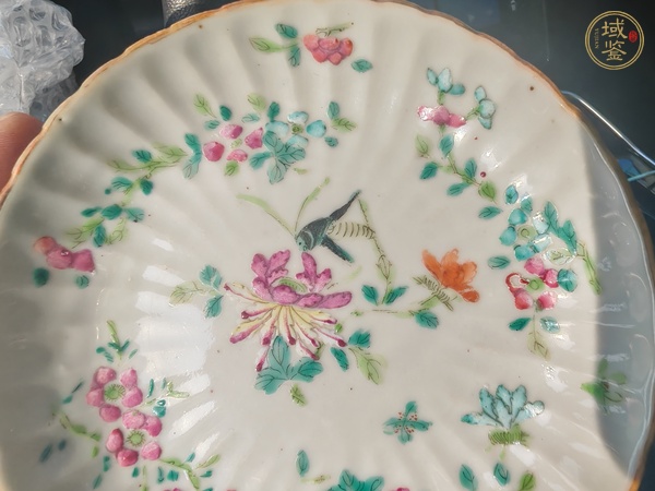 古玩陶瓷粉彩蟲草瓜棱盤真品鑒賞圖