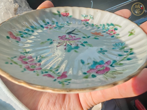 古玩陶瓷粉彩蟲草瓜棱盤真品鑒賞圖