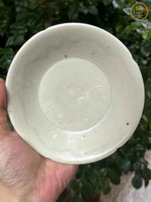 古玩陶瓷宣州白釉葵口盤真品鑒賞圖