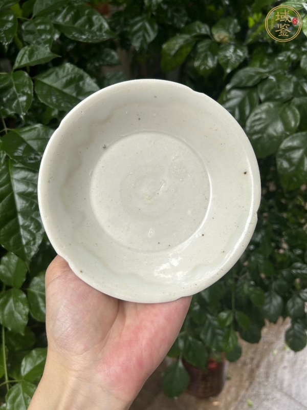 古玩陶瓷宣州白釉葵口盤真品鑒賞圖