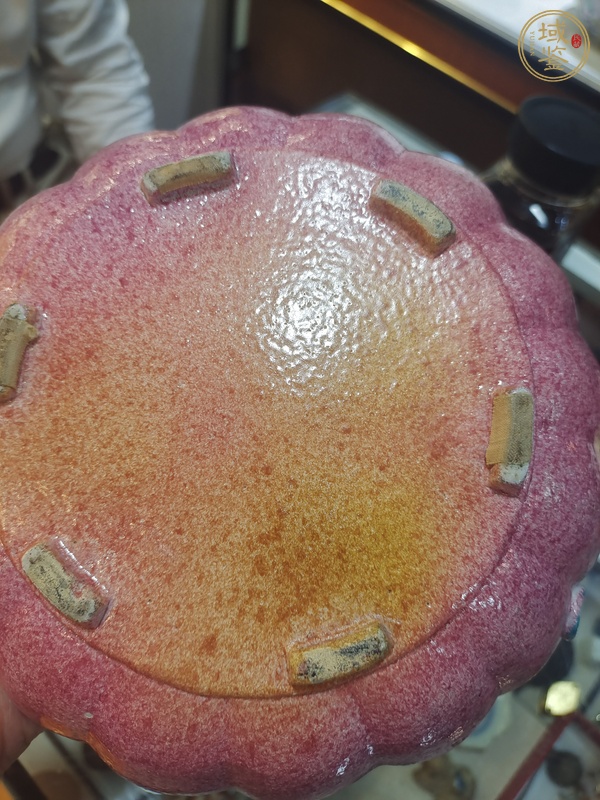 古玩陶瓷晚清吹紅釉藍瓜型蓋盒真品鑒賞圖