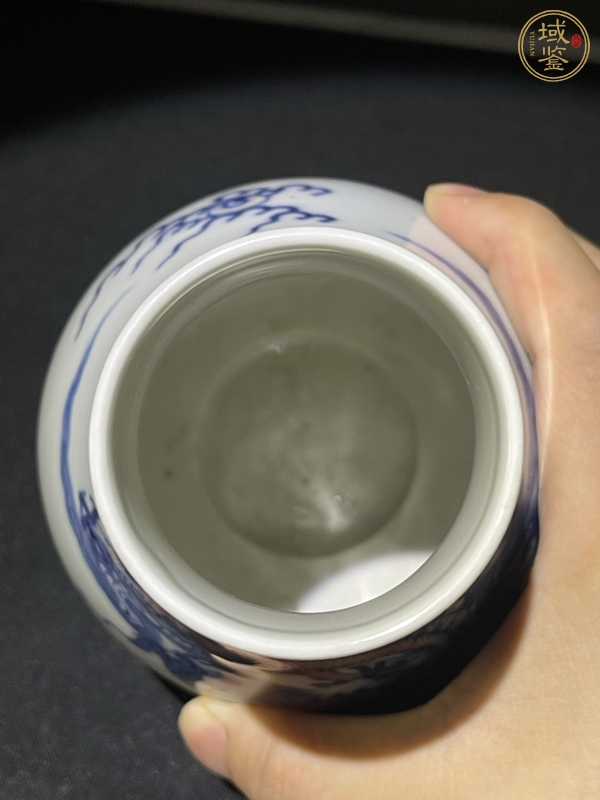 古玩陶瓷青花釉里紅琵琶尊真品鑒賞圖