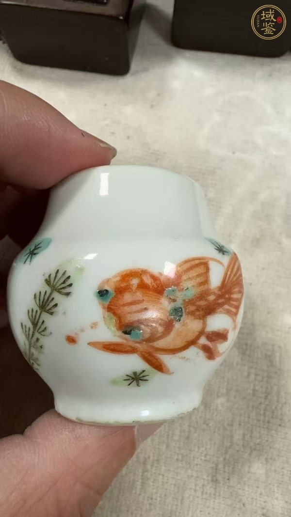 古玩陶瓷清同治 粉彩魚(yú)藻紋鳥(niǎo)食罐真品鑒賞圖