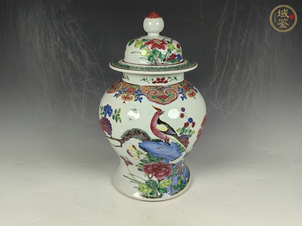古玩陶瓷晚清洞石錦雞牡丹花卉蝴蝶紋粉彩將軍罐真品鑒賞圖