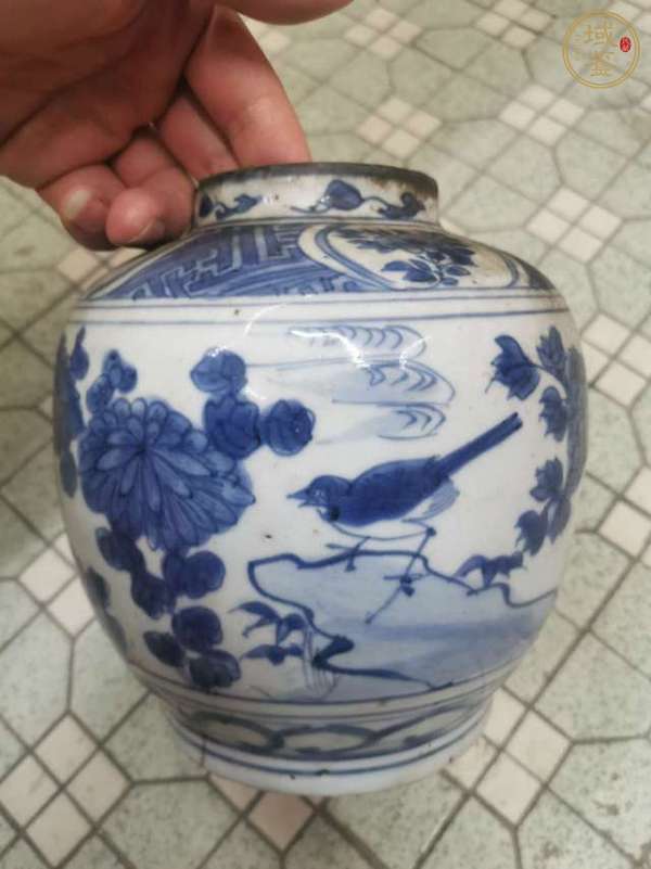 古玩陶瓷青花花鳥(niǎo)紋罐真品鑒賞圖