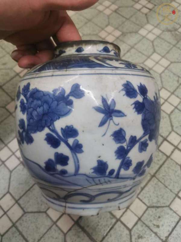 古玩陶瓷青花花鳥(niǎo)紋罐真品鑒賞圖