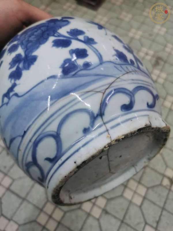 古玩陶瓷青花花鳥(niǎo)紋罐真品鑒賞圖