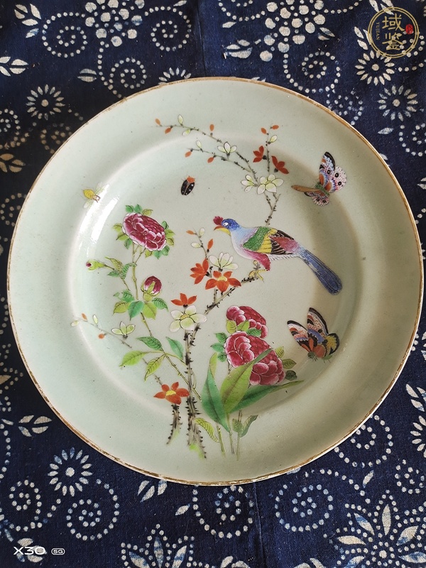 古玩陶瓷花鳥紋廣彩盤真品鑒賞圖