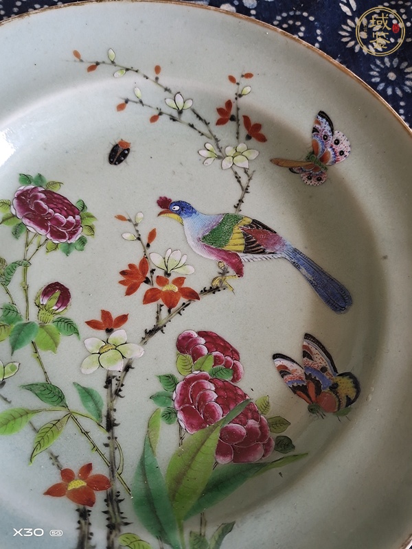 古玩陶瓷花鳥紋廣彩盤真品鑒賞圖