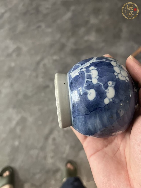 古玩光緒青花冰梅瓶真品鑒賞圖