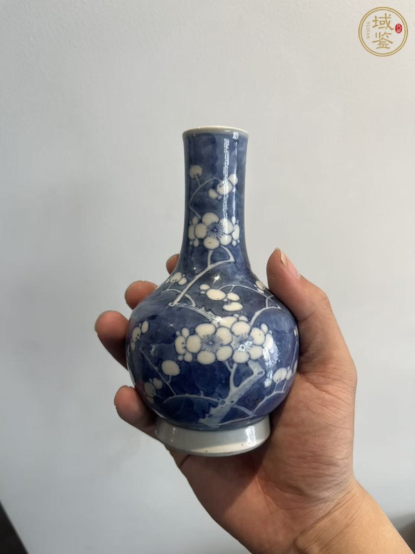 古玩陶瓷光緒青花冰梅瓶真品鑒賞圖