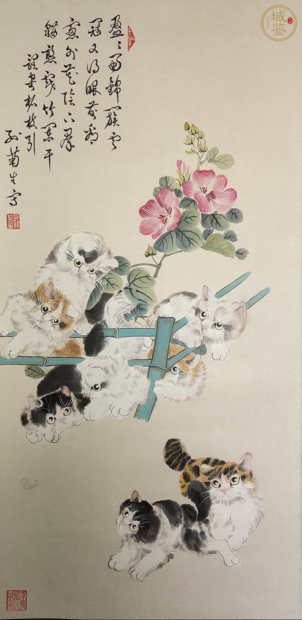 古玩字畫孫菊生貓戲圖立軸真品鑒賞圖
