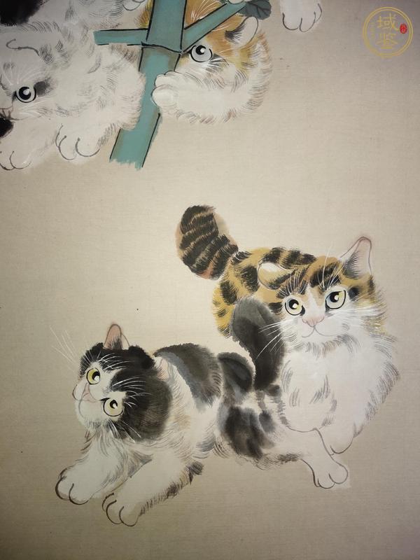 古玩字畫孫菊生貓戲圖立軸真品鑒賞圖