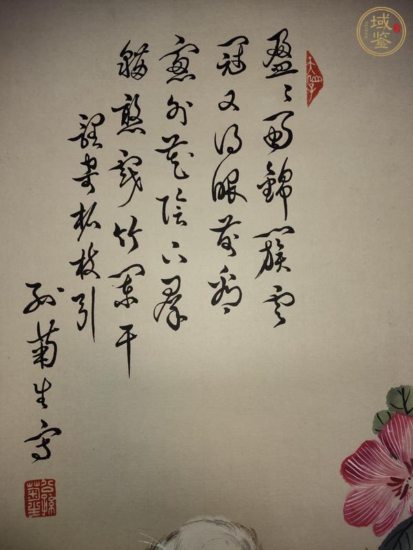 古玩字畫孫菊生貓戲圖立軸真品鑒賞圖