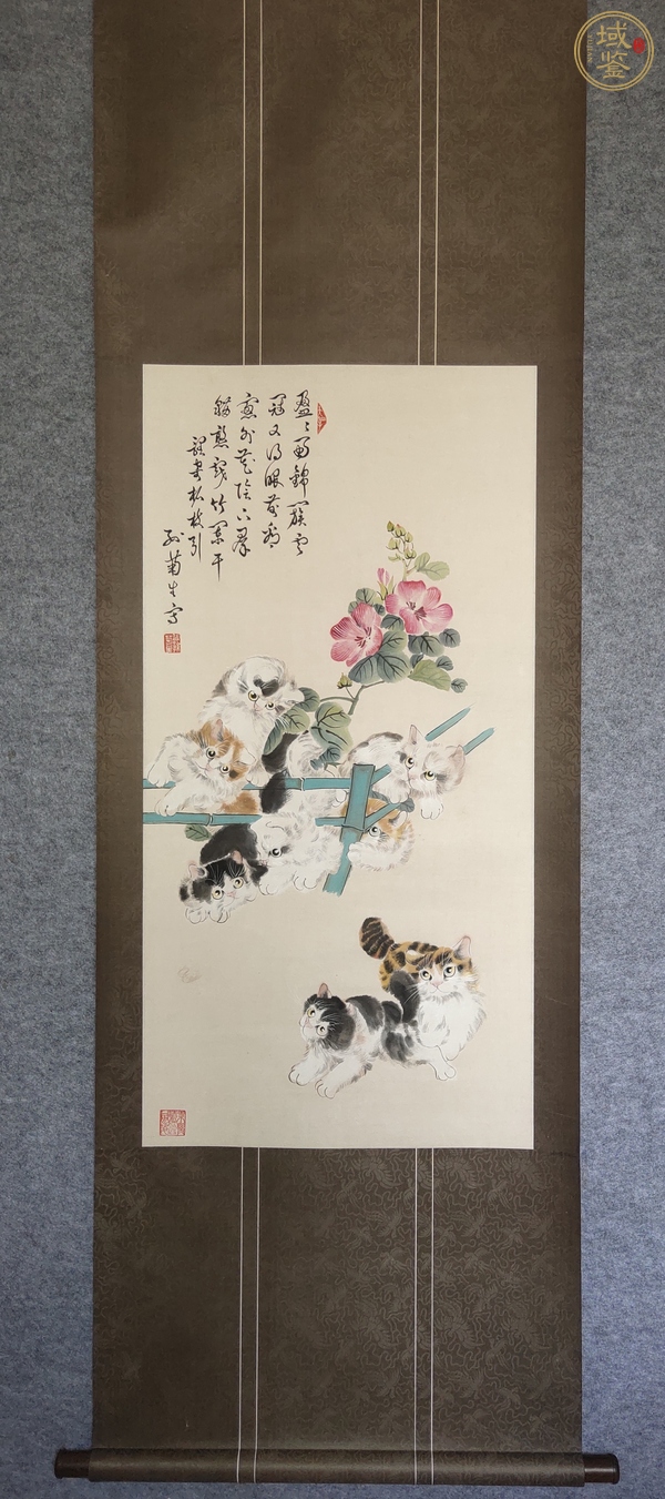 古玩字畫孫菊生貓戲圖立軸真品鑒賞圖