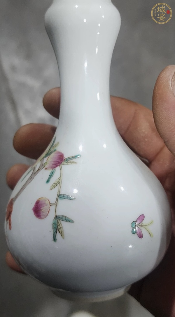 古玩陶瓷桃紋粉彩蒜頭瓶真品鑒賞圖