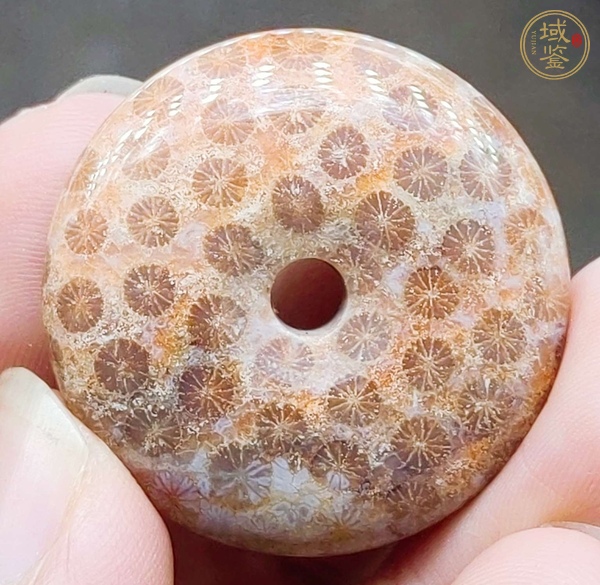 古玩雜項(xiàng)珊瑚化石平安扣真品鑒賞圖