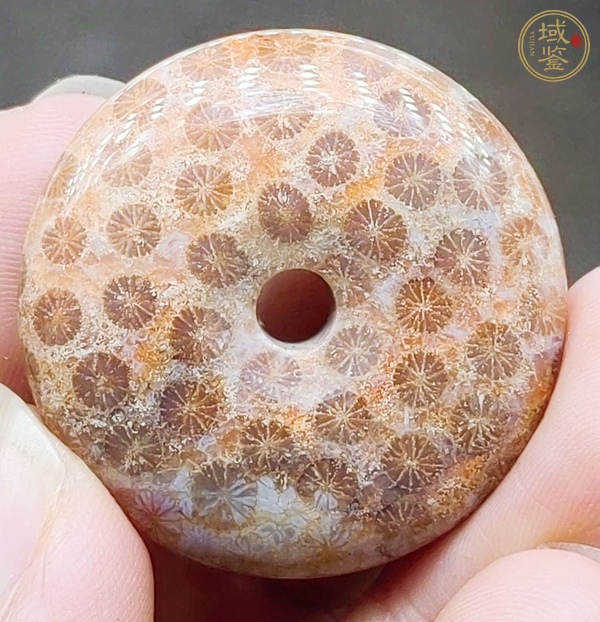 古玩雜項(xiàng)珊瑚化石平安扣真品鑒賞圖