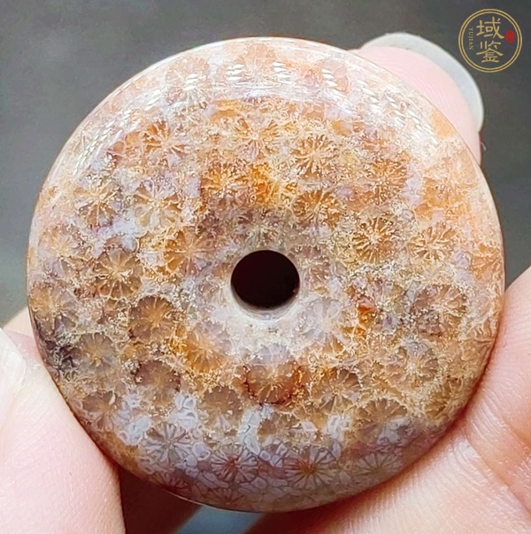 古玩雜項(xiàng)珊瑚化石平安扣真品鑒賞圖
