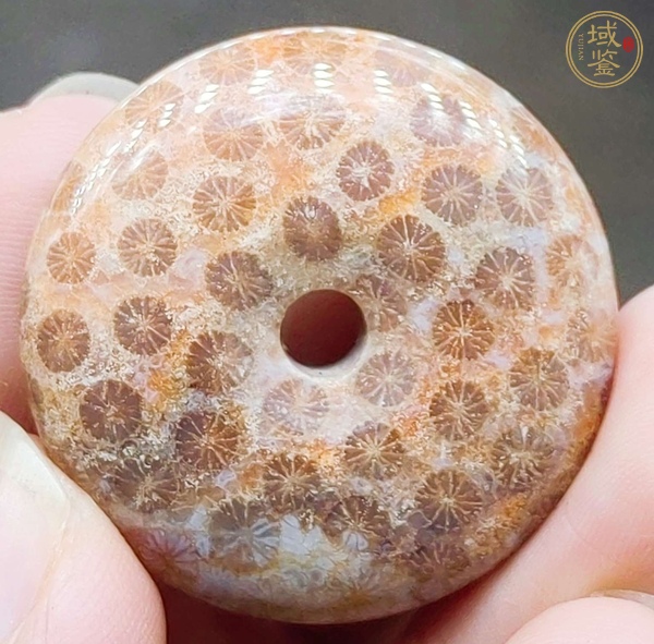 古玩雜項(xiàng)珊瑚化石平安扣真品鑒賞圖