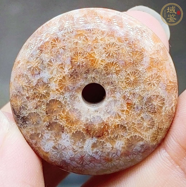 古玩雜項(xiàng)珊瑚化石平安扣真品鑒賞圖