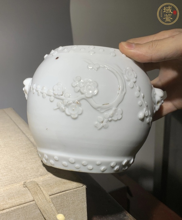 古玩陶瓷德化窯白釉獅耳鼓釘罐真品鑒賞圖